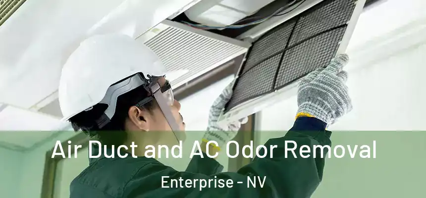 Air Duct and AC Odor Removal Enterprise - NV
