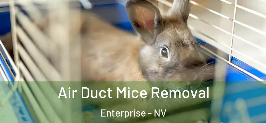 Air Duct Mice Removal Enterprise - NV