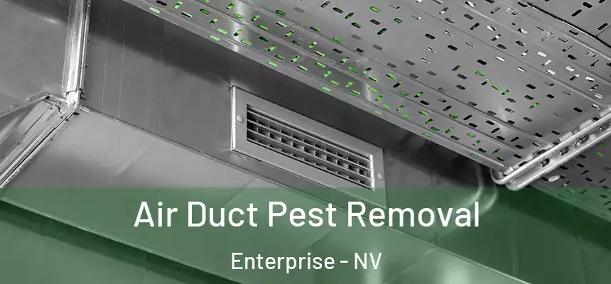 Air Duct Pest Removal Enterprise - NV