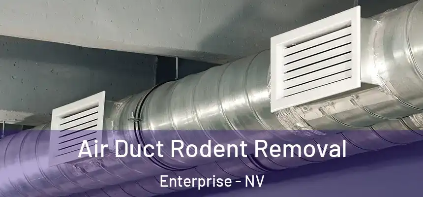 Air Duct Rodent Removal Enterprise - NV