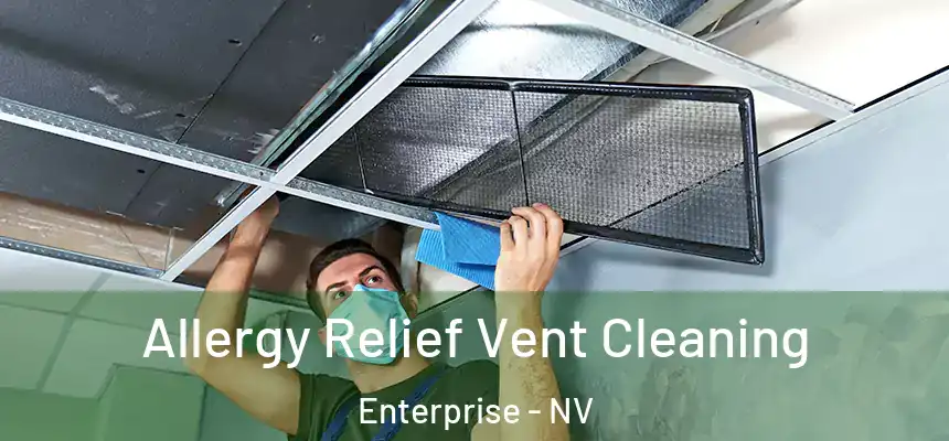Allergy Relief Vent Cleaning Enterprise - NV