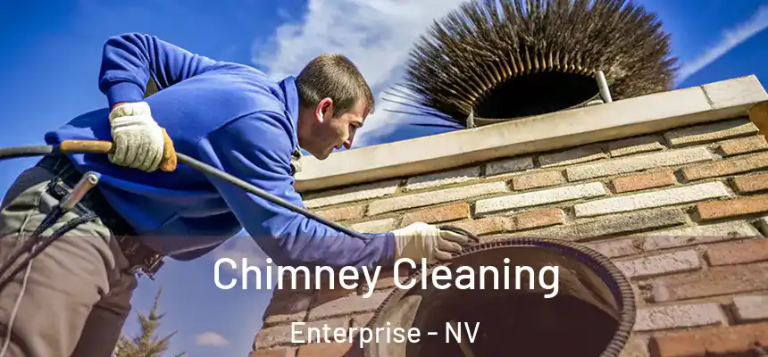 Chimney Cleaning Enterprise - NV