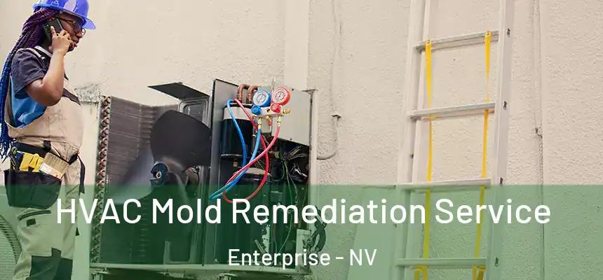 HVAC Mold Remediation Service Enterprise - NV
