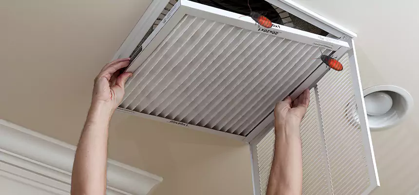 Preventive Cockroach-Proofing for Ducts in Enterprise