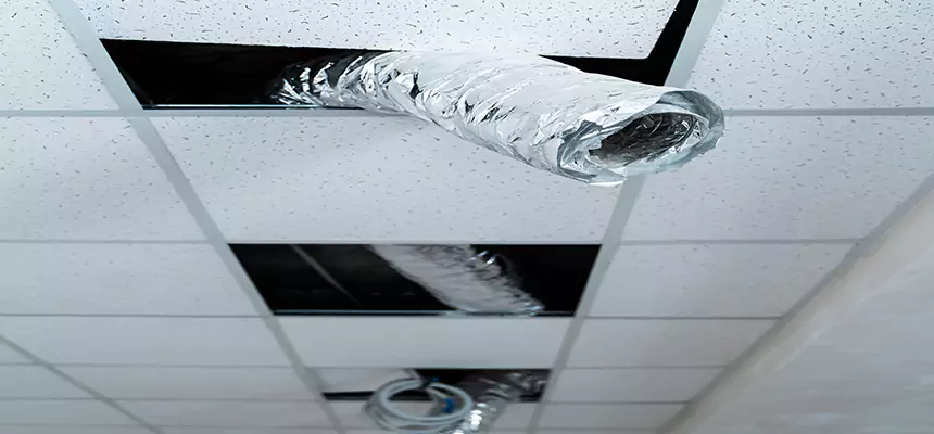 Our Air Duct Pet Hair Removal Services in Enterprise, NV