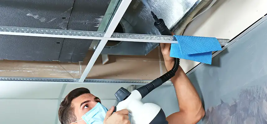 Our Air Duct Rodent Removal Services in Enterprise, NV