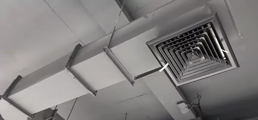 Our Pest Removal From Ducts Services in Enterprise, NV