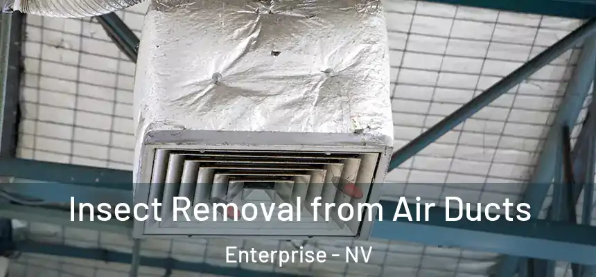  Insect Removal from Air Ducts Enterprise - NV