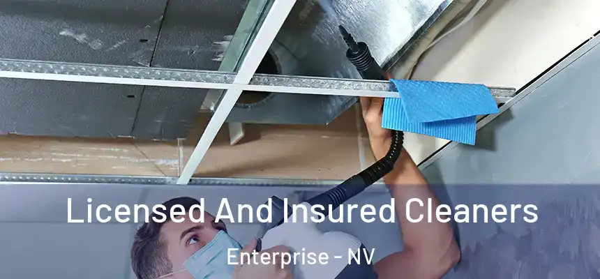 Licensed And Insured Cleaners Enterprise - NV