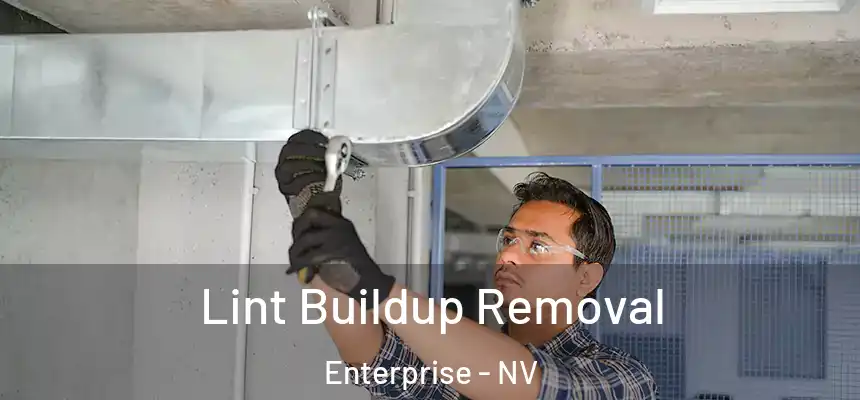 Lint Buildup Removal Enterprise - NV
