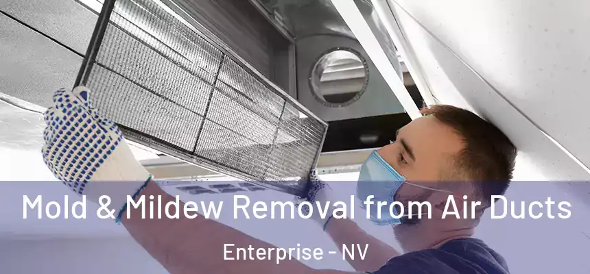 Mold & Mildew Removal from Air Ducts Enterprise - NV