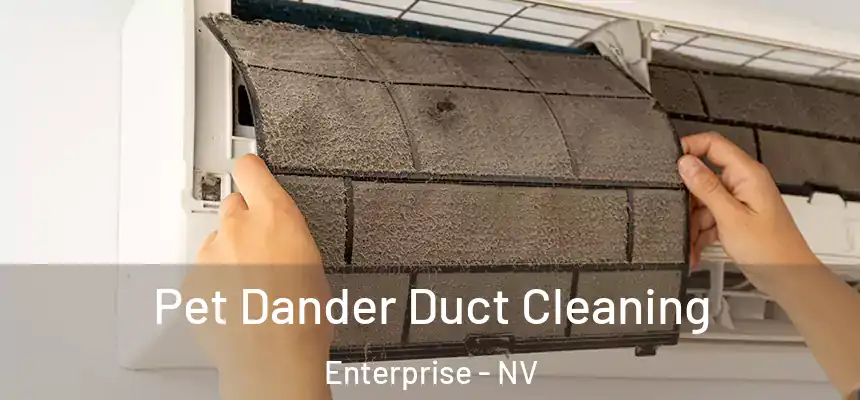 Pet Dander Duct Cleaning Enterprise - NV