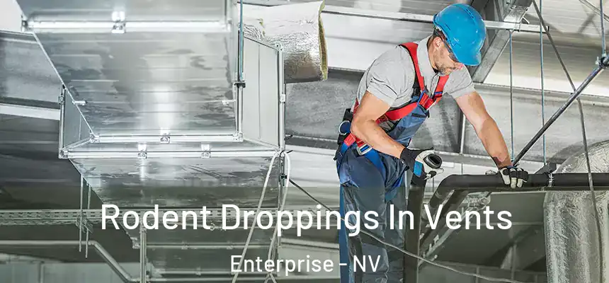 Rodent Droppings In Vents Enterprise - NV