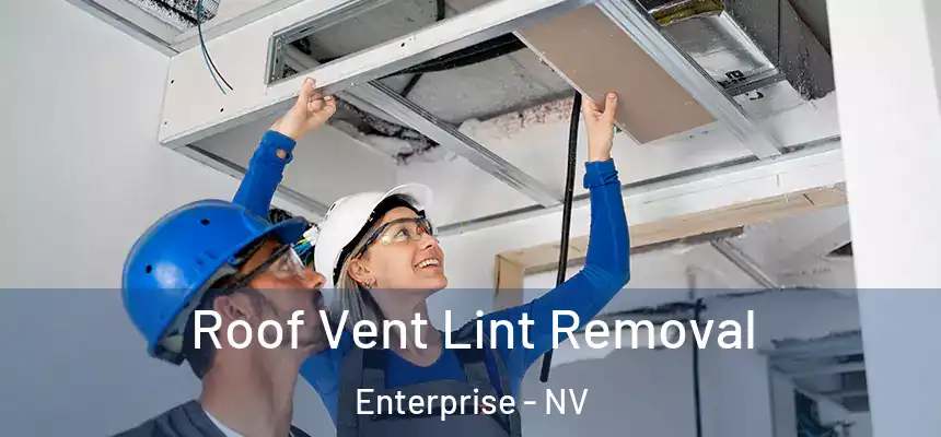 Roof Vent Lint Removal Enterprise - NV