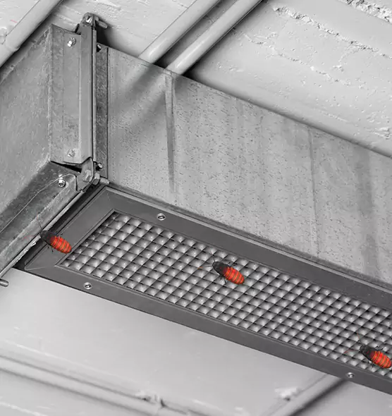 About Air Duct Cockroach Removal in Enterprise, NV