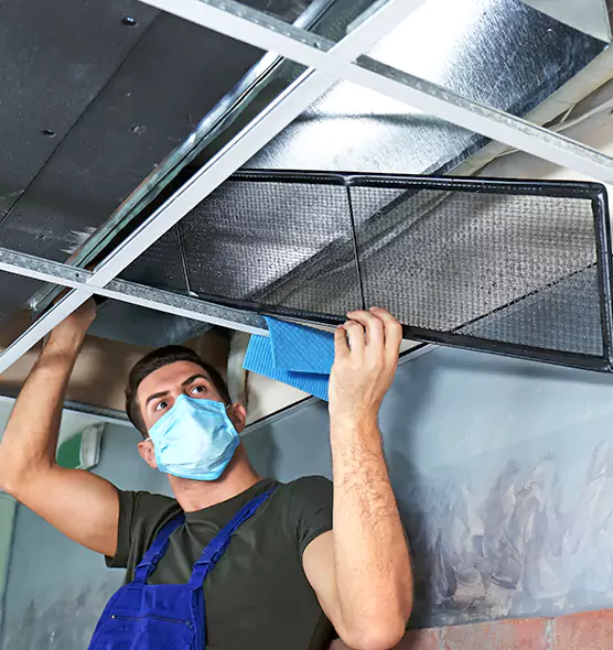 Professional Air Duct Pollen Cleaning in Enterprise, NV