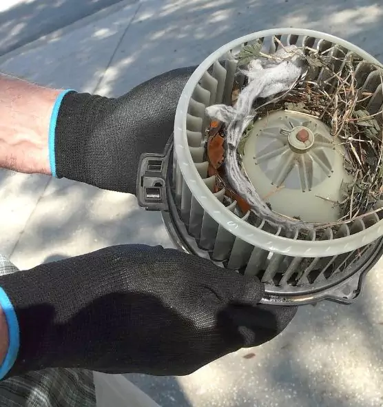 About Air Duct Rat Removal in Enterprise, NV