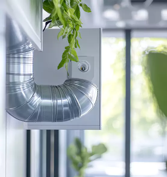 Professional Eco-Friendly Duct Cleaning Services in Enterprise, NV