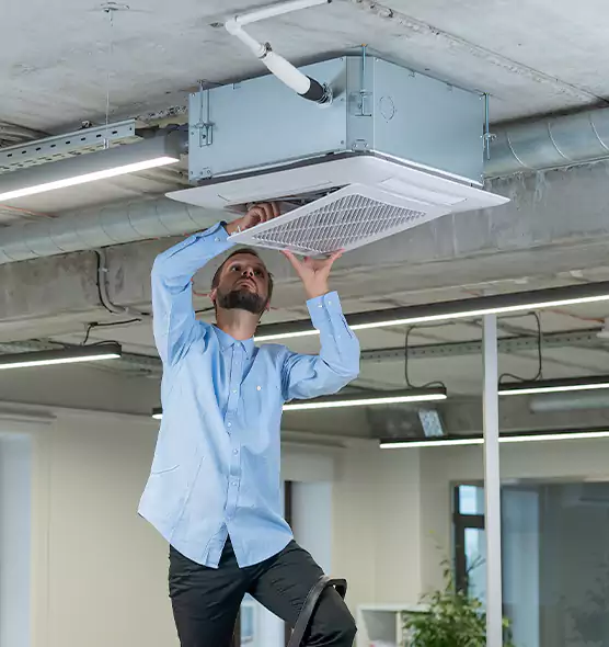 Advanced Rodent Droppings In Vents in Enterprise, NV