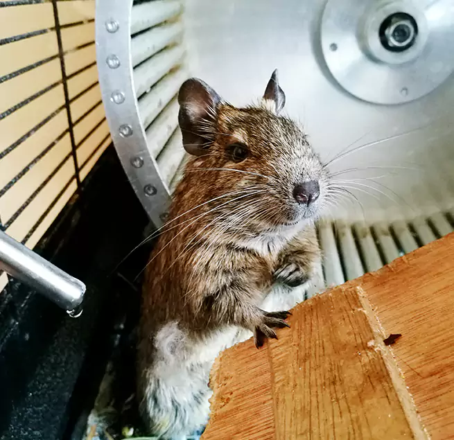 Why Homeowners & Businesses Trust Us Enterprise, NV