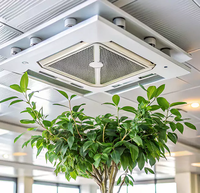 Why Homeowners & Businesses Trust Us in Enterprise, NV?